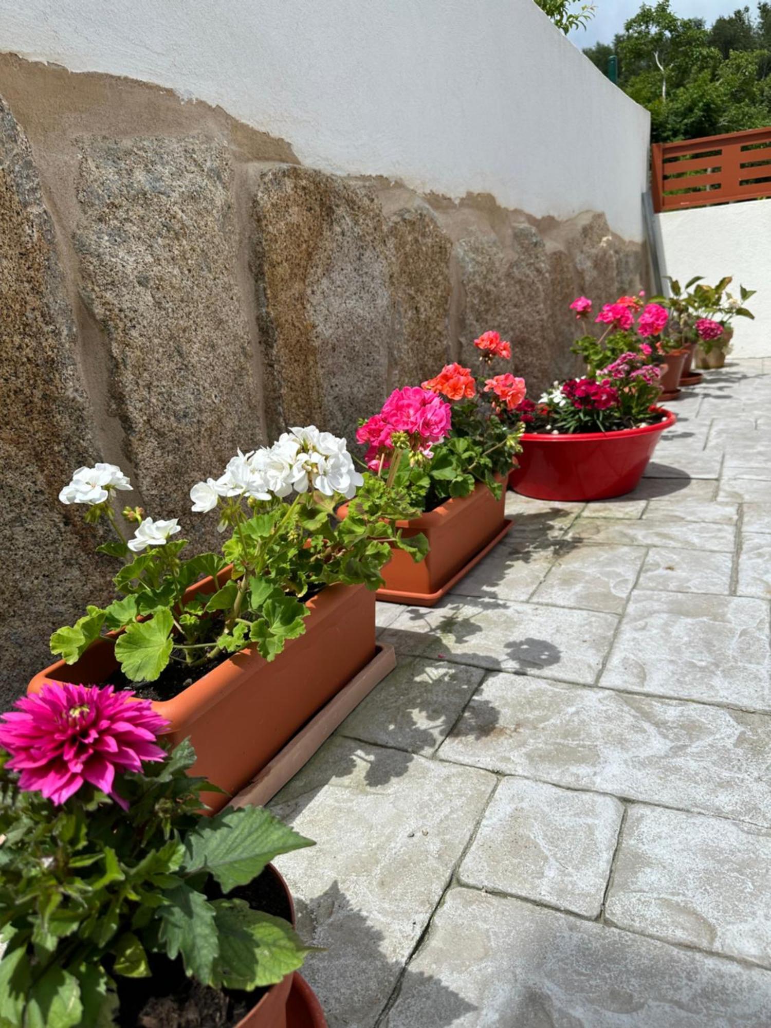 Villa Casa La Oveja Negra, Con Piscina Ourense Esterno foto